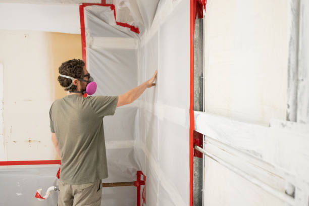 Best Mold Documentation for Insurance Claims  in New Chicago, IN