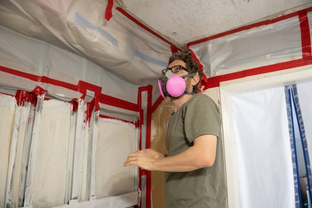 Best Asbestos and Lead Testing During Mold Inspection  in New Chicago, IN