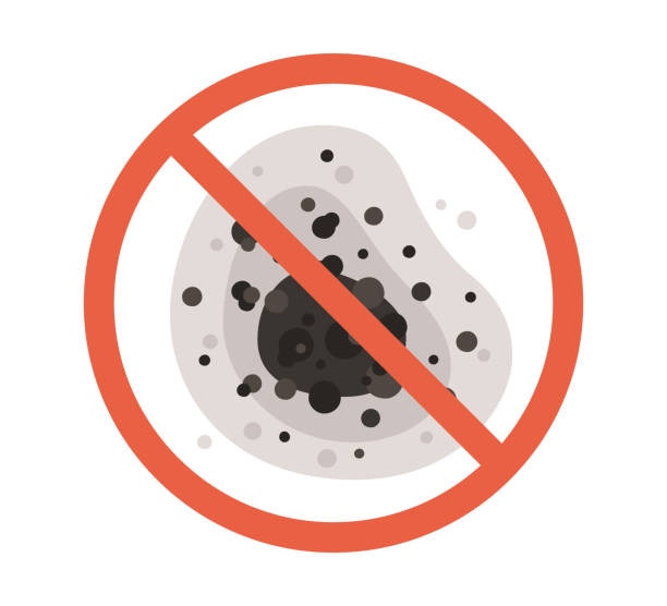 Best Industrial Mold Remediation  in New Chicago, IN