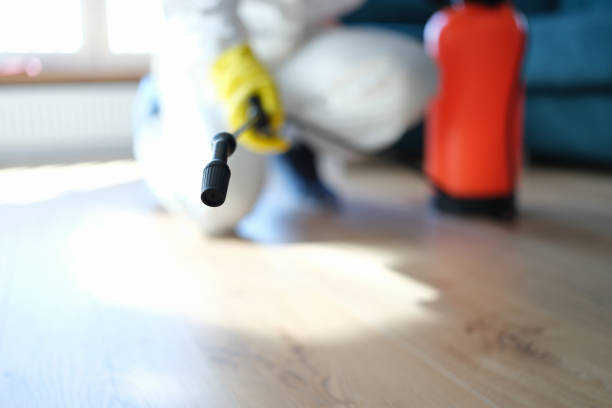 Biohazard Mold Removal in New Chicago, IN