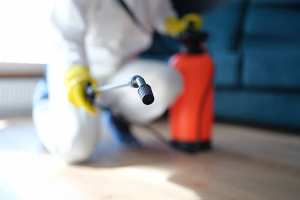 Mold Remediation for Rental Properties in New Chicago, IN