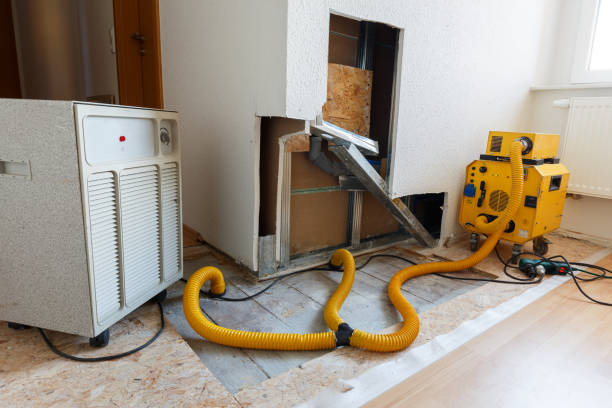 Best Crawl Space Mold Remediation  in New Chicago, IN